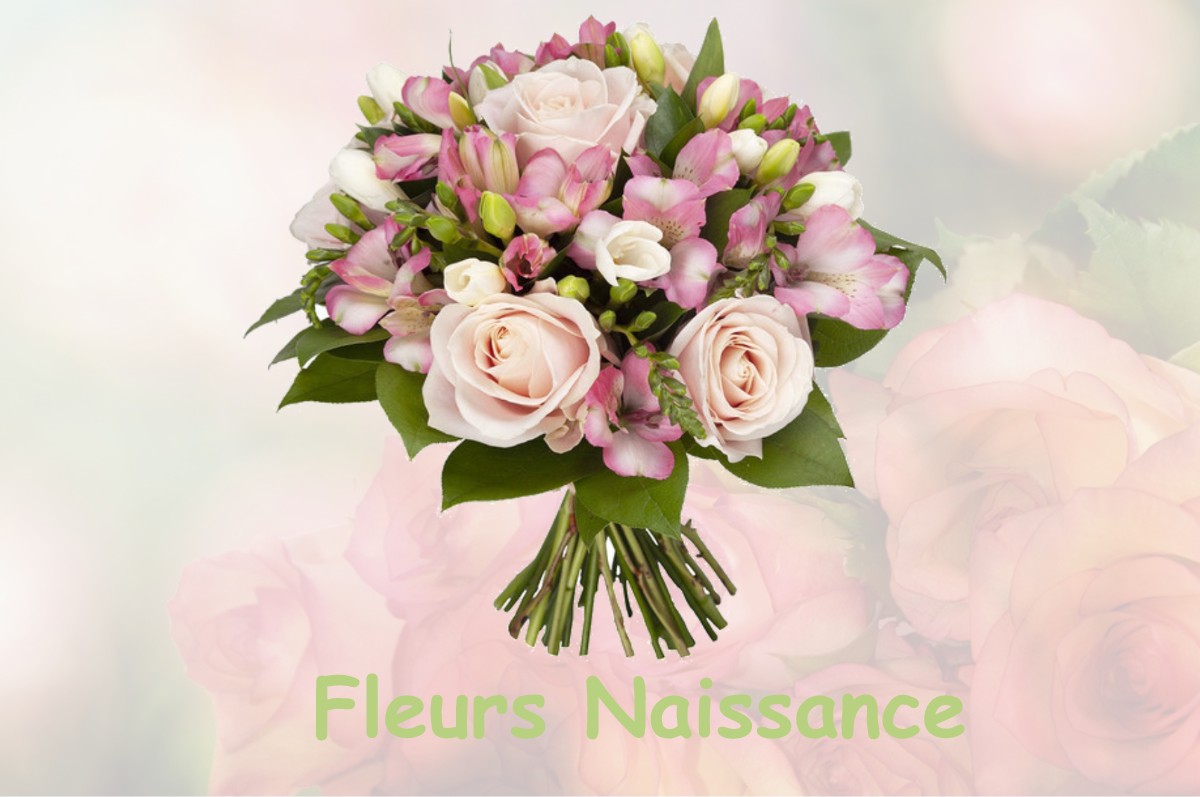 fleurs naissance BAUDONVILLIERS