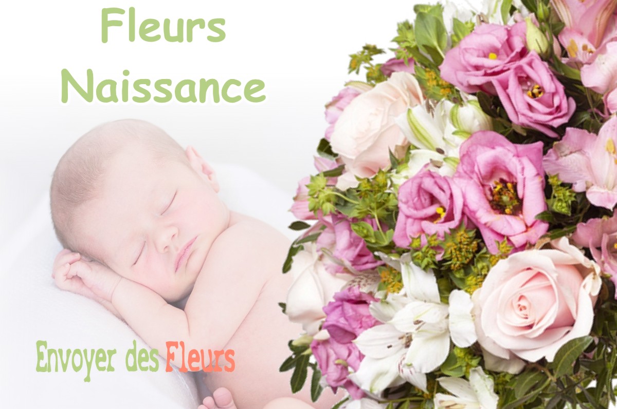 lIVRAISON FLEURS NAISSANCE à BAUDONVILLIERS